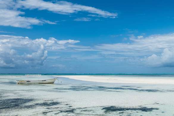 Beach Safaris